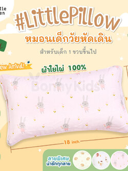 Little eden (ลิตเติ้ลอีเด้น) LittlePillow หมอนหนุนเด็กวัยหัดเดิน เหมาะสำหรับเด็ก 1 ขวบขึ้นไป (ขนาด10x18นิ้ว)