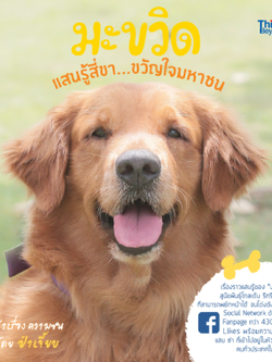 มะขวิด แสนรู้สี่ขา...ขวัญใจมหาชน