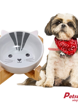 ชามเซรามิกสัตว์เลี้ยง Petsuka พร้อมฐานรองสไตล์ญี่ปุ่น สำหรับสุนัขและแมว รูปแมว