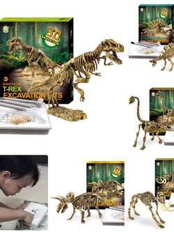 ของเล่นวิทยาศาสตร์ ชุดขุดฟอสซิลไดโนเสาร์ ชิ้นส่วนตัวต่อ 3D Skeleton Excuvation Kits