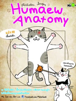 Humaew Anatomy คู่มือใช้เหมียว เฟี้ยวสุดๆ
