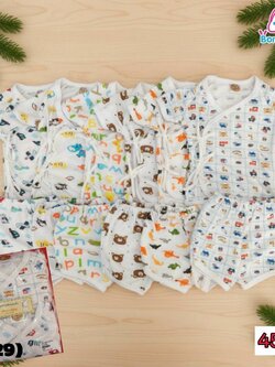 (3029) ARI-SA05-6 ชุดป้ายเด็กแขนสั้น คละลาย (แรกเกิด-6เดือน) แพ็ค 6 ชุด