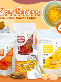 Cubbe Freeze Dried POWER Cubes ผงก้อนฟรีซดราย ขนาด 36 กรัม (1 ซอง / 6 ก้อน)