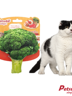 ตุ๊กตาบล็อกโคลี่นุ่มนิ่ม Petsuka ของเล่นสัตว์เลี้ยง มีเสียง