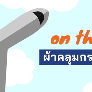 ผ้าคลุมกระเป๋าเดินทาง