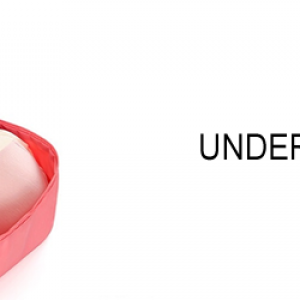 กระเป๋าใส่ชุดชั้นใน