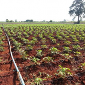 เทปน้ำหยดและอุปกรณ์