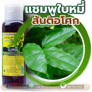 แชมพูสมุนไพร ใบหมี่ (สันติอโศก) 360 มล. ► สมุนไพรพื้นบ้านที่คนจังหวัดน่านรู้กันดีว่าต้องปลูกไว้ นำใบสดตำขยี้ผม ช่วยกำจัดเหา ลดการหลุดร่วงของเส้นผม เสริมสร้างเส้นผมใหม่ ปลูกผมได้ เร่งผมให้ยาวได้เร็วขึ้น บำรุงหนังศีรษะ ฆ่าเชื้อรา