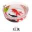 กาชาปองฟิกเกอร์ปลาทองในอ่างจิ๋ว Four-Tailed Goldfish Small Bowl