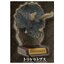 กาชาปองฟิกเกอร์หัวไดโนเสาร์ Realistic Dinosaur Head Collection