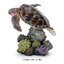 กาชาปองฟิกเกอร์สัตว์ทะเล Mini Collection of the Great Creature Encyclopedia: Coral Reef Creatures