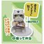 กาชาปองฟิกเกอร์แมว Work Cat Mini Figure Collection