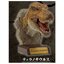 กาชาปองฟิกเกอร์หัวไดโนเสาร์ Realistic Dinosaur Head Collection