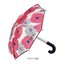 กาชาปองโมเดลร่ม Wpc. Umbrella Miniature Collection