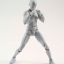 พร้อมส่ง S.H. Figuarts - DX SET (Gray Color Ver.) มีเหลือครับ ชาบกับหญิง