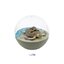 กาชาปอง Caprium Collection Marine Life
