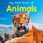 Collins Children's Ultimate Reference Book : My First Book of Animal หนังสือความรู้ สัตว์ต่างๆ
