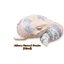 กาชาปองฟิกเกอร์ตุ๊กแก African Ground Gecko and Crested Gecko Sleep Series