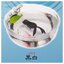 กาชาปองฟิกเกอร์ปลาทองในอ่างจิ๋ว Four-Tailed Goldfish Small Bowl