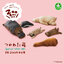 กาชาปองฟิกเกอร์สัตว์นอน Zoo Zoo Zoo Tired Nee Special color ver