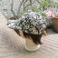 หมวกแก๊ป BACK NUMBER สีสวยลายสวย เก๋มาก (ของใหม่)