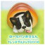 กาชาปองฟิกเกอร์สัตว์ในอาหาร Animal Attraction Delicious Futon Tenkomori