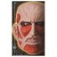 กาชาปองหน้ากากแอทแทคออนไททัน Attack on Titan Mask Collection