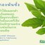 แชมพูสมุนไพรรักผม 250ml x 12 ขวด ยาสระผมแก้รังแคเชื้อรา แก้ผมร่วง แก้ปัญหาผมมัน ผมคัน ชะลอผมหงอก ช่วยให้ผมเกิดใหม่ ไม่ต้องใช้ครีมนวดผม อุดมด้วยสมุนไพรธรรมชาติถึง 9 ชนิด ใช้ได้ทุกวัย สระได้ทุกวัน ปราศจากสารเคมีที่เป็นอันตราย