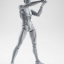พร้อมส่ง S.H. Figuarts - DX SET (Gray Color Ver.) มีเหลือครับ ชาบกับหญิง