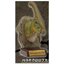 กาชาปองฟิกเกอร์หัวไดโนเสาร์ Realistic Dinosaur Head Collection